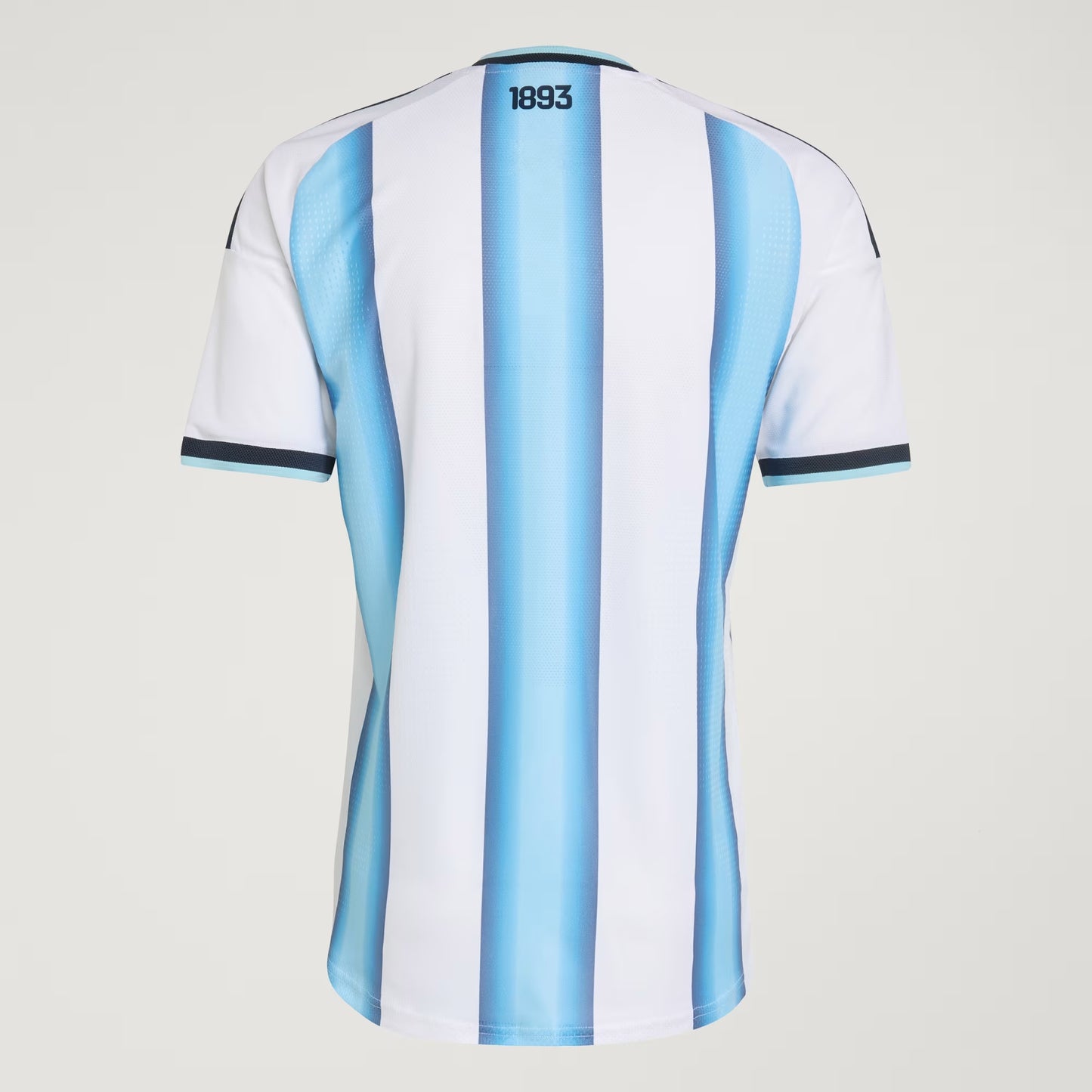Argentina 2026 - Versión Jugador