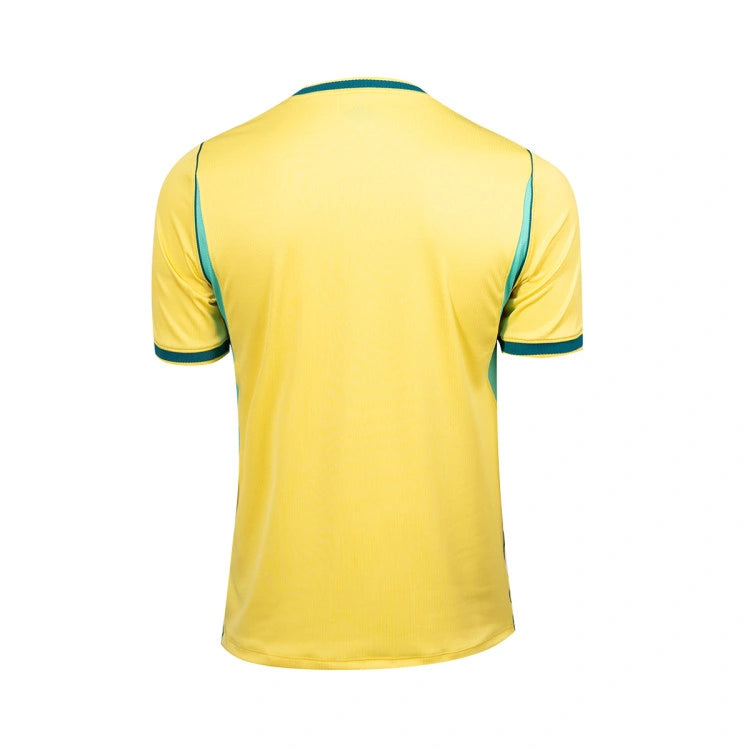 Brasil 2026 — Versión Jugador